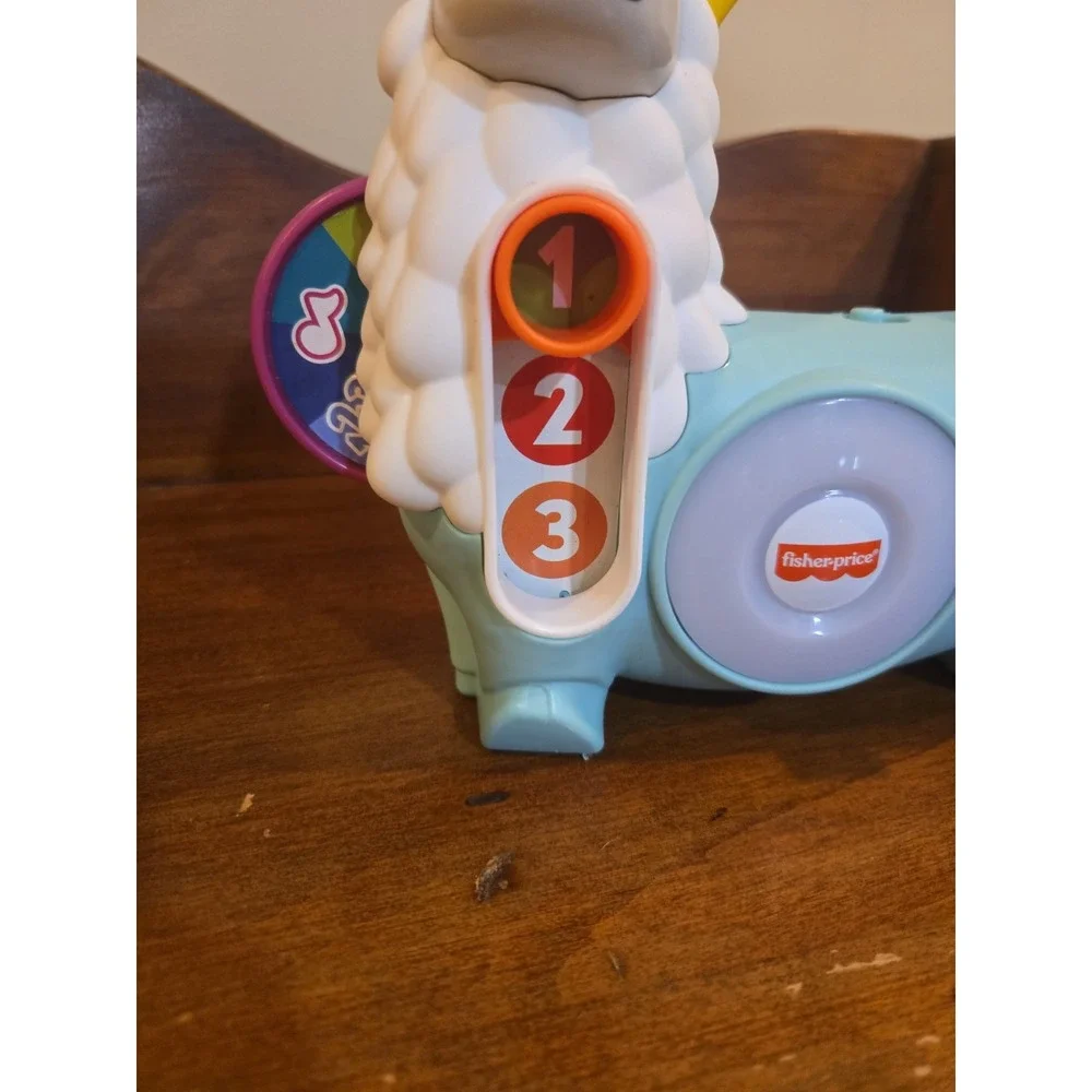 Fisher-Price this fisher